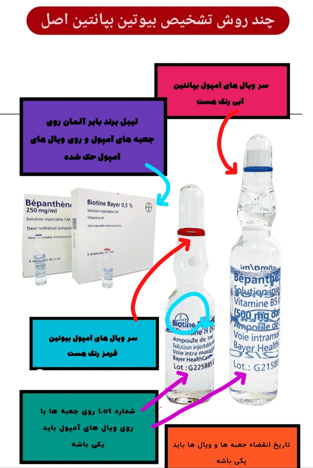 بیوتین بپانتن برند بایر اورجینال آلمان